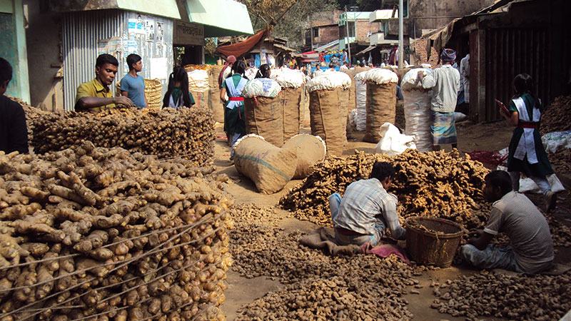 ৬ মাসে ২৮ হাজার টন আদা আমদানি