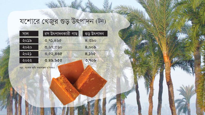 যশোরে তিন বছরে খেজুর গুড় উৎপাদন কমেছে ১৬ শতাংশ