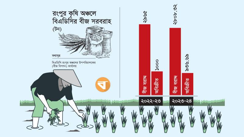 অবিক্রীত থেকে যাচ্ছে বিএডিসির বিপুল পরিমাণ বীজ