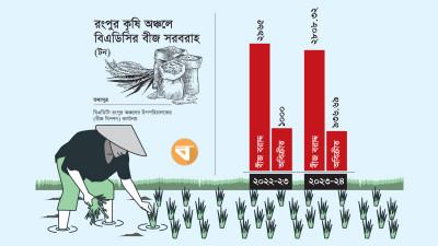অবিক্রীত থেকে যাচ্ছে বিএডিসির বিপুল পরিমাণ বীজ