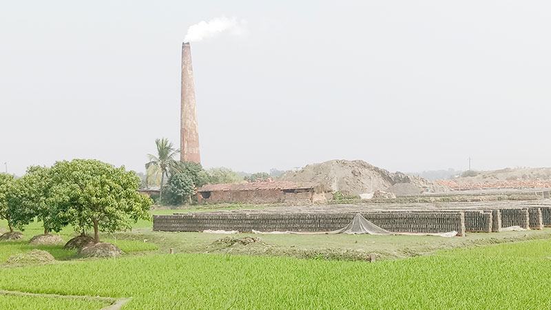 সাতক্ষীরায় স্থাপিত ইটভাটার ৭০ শতাংশই ফসলি জমিতে
