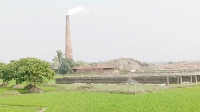 সাতক্ষীরায় স্থাপিত ইটভাটার ৭০ শতাংশই ফসলি জমিতে