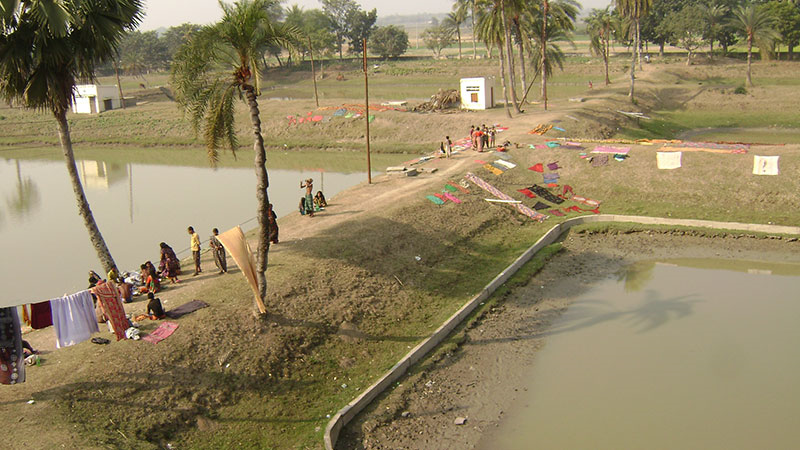 পোনা উৎপাদন বন্ধ এক যুগ