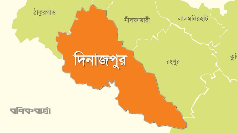 পিঠা উৎসব