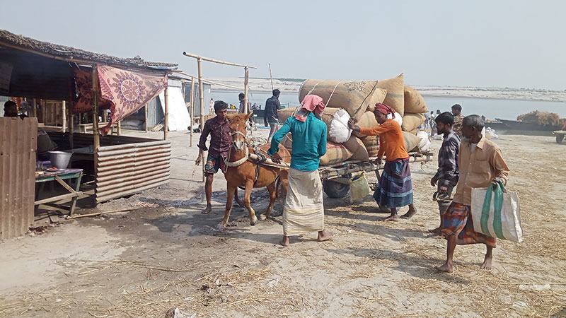 গাইবান্ধার চরে পণ্য পরিবহনে ঘোড়ার গাড়ি