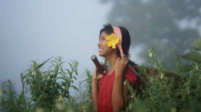 রাঙামাটিতে পাহাড়ের সন্তানদের শিক্ষা সহায়তায় চিত্রকর্ম প্রদর্শনী শুরু কাল
