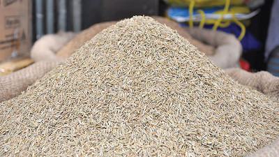 সাতক্ষীরায় জিরার দাম কেজিতে ২০০ টাকা কমেছে