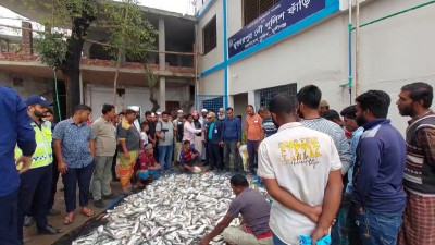 মুন্সিগঞ্জে ১ হাজার ৪০০ কেজি অবৈধ জাটকা ইলিশ জব্দ
