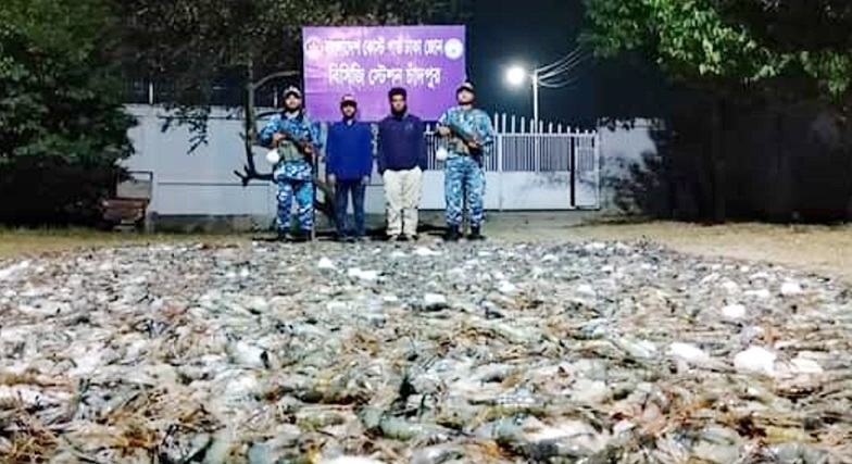 চাঁদপুরে ৯০ মণ বিষাক্ত জেলিযুক্ত চিংড়ি জব্দ