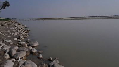 লালমনিরহাটে তিস্তায় জেগেছে ৭২ চর