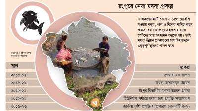 রংপুরে মাছ উৎপাদনে নেতিবাচক প্রভাব পড়ার আশঙ্কা