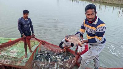 বেবিট্যাক্সিচালক থেকে মৎস্য খামারি