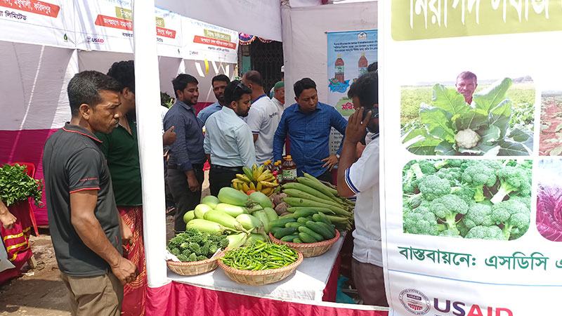 ফরিদপুরে নিরাপদ সবজি মেলা