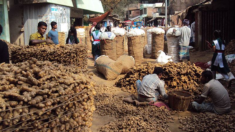 হিলিতে আদার দাম বেড়েছে কেজিতে ১০০ টাকা