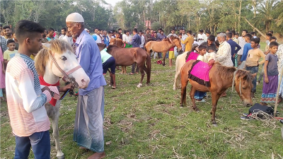 ঝালকাঠিতে ঐতিহ্যবাহী ঘোড়দৌড় প্রতিযোগিতা ও গ্রামীণ মেলা অনুষ্ঠিত