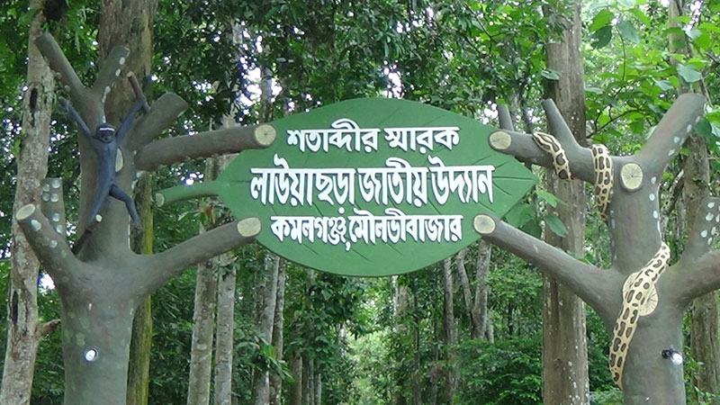 ঈদ ও নববর্ষে লাউয়াছড়ায় রাজস্ব আহরণের রেকর্ড