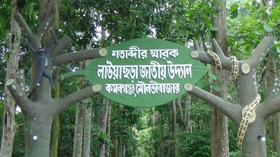 ঈদ ও নববর্ষে লাউয়াছড়ায় রাজস্ব আহরণের রেকর্ড