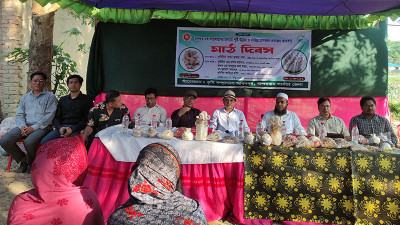 বান্দরবানে মাশরুম প্রকল্পের মাঠ দিবস