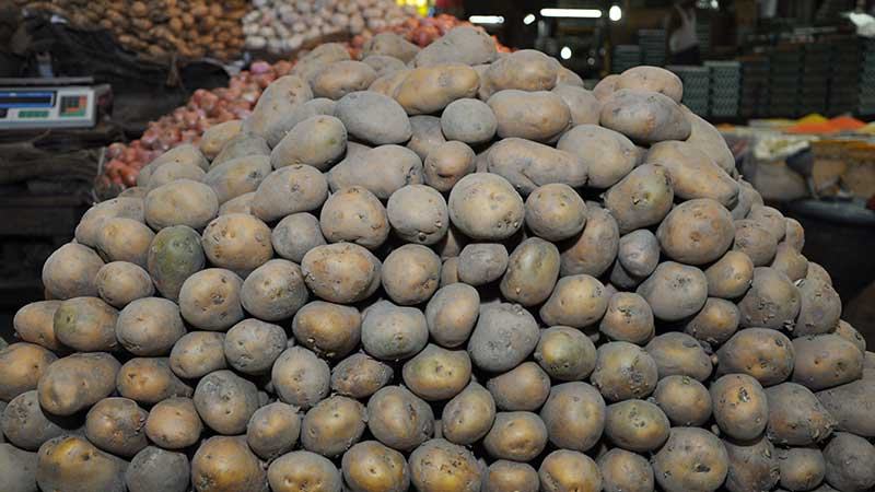 আমদানি করে লোকসানের মুখে হিলির ব্যবসায়ীরা