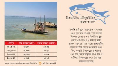 বিএফডিসির চার কেন্দ্রে মাছ অবতরণের রেকর্ড
