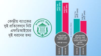 নিট প্রত্যক্ষ বিদেশী বিনিয়োগের দুই তথ্য পার্থক্য প্রায় ৫০%