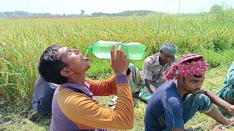 এক দশকে রেকর্ড সর্বোচ্চ তাপমাত্রা চুয়াডাঙ্গায়