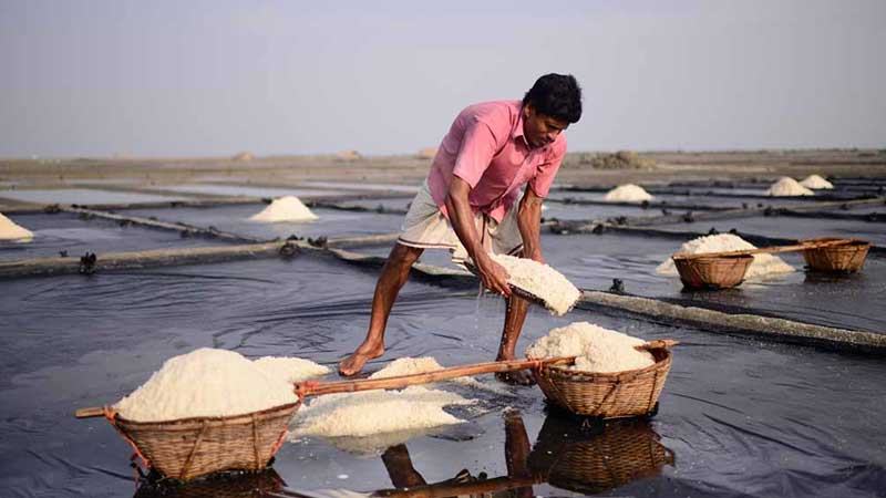 লক্ষ্যমাত্রার চেয়ে উৎপাদন কম হলেও ন্যায্যমূল্য পাচ্ছেন না লবণচাষীরা