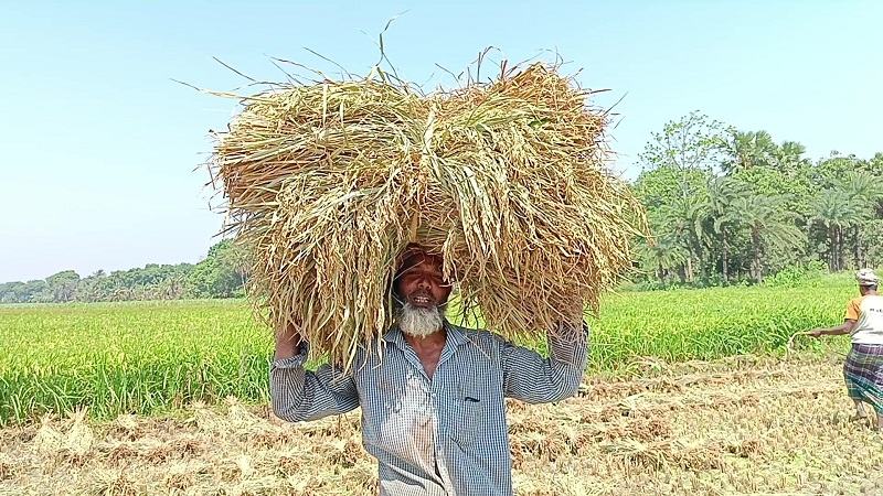 ২৯ বছরের সর্বোচ্চ তাপমাত্রা দেখল চুয়াডাঙ্গাবাসী
