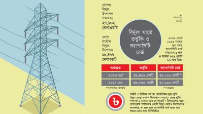 বিদ্যুতে ভর্তুকির ৮১ শতাংশই ক্যাপাসিটি চার্জ