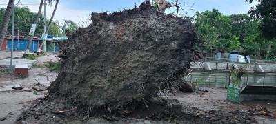নাসিরনগরে কালবৈশাখী ঝড়ে ৪০ টি বাড়িঘর ক্ষতিগ্রস্ত, বিদ্যুৎ সরবরাহ ব্যfহত