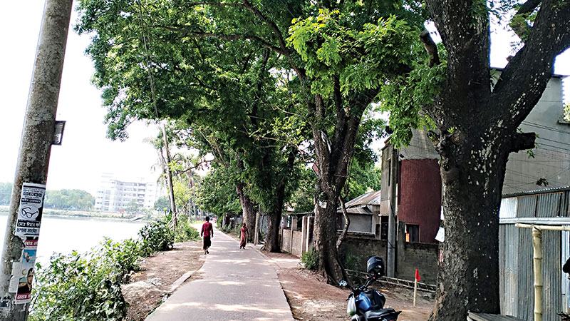 কাটা পড়বে সোহরাওয়ার্দী সরোবরের পুরনো ৩১ গাছ