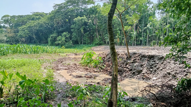 দখল হয়ে যাচ্ছে বরিশালের কাদিরাবাদ দিঘির জমি