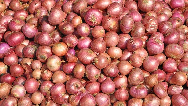 কেজিতে ৫ টাকা বাড়ল দেশী পেঁয়াজের দাম