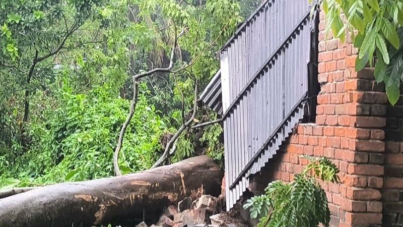 মাদারীপু‌রে ঝড়বৃ‌ষ্টি‌তে ভেঙে প‌ড়ে‌ছে গাছপালা-ঘরবা‌ড়ি, স্থ‌বির জনজীবন