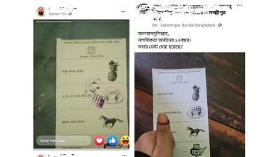নিজের প্রতীকে ভোট দিয়ে ফেসবুকে ব্যালটের ছবি প্রকাশ চেয়ারম্যান প্রার্থীর