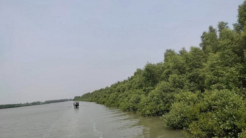 তিন মাসের জন্য বন্ধ হচ্ছে সুন্দরবনের দুয়ার
