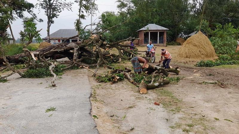 ঠাকুরগাঁওয়ে ঝড়ে লণ্ডভণ্ড ২০ গ্রাম, ৩ জনের মৃত্যু
