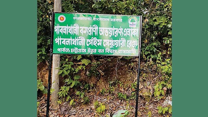 রাঙ্গামাটি বনাঞ্চলে কমছে সবুজের আচ্ছাদন