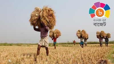 কৃষি খাতে বরাদ্দ বাড়ছে ২ হাজার ৩৭৯ কোটি টাকা