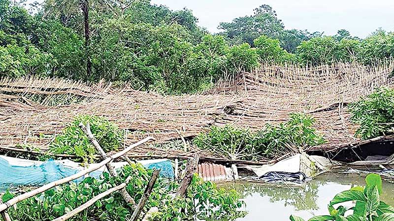 বরিশাল বিভাগে কৃষি ও মৎস্য খাতে ৭২৫ কোটি টাকার ক্ষতি