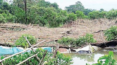 বরিশাল বিভাগে কৃষি ও মৎস্য খাতে ৭২৫ কোটি টাকার ক্ষতি