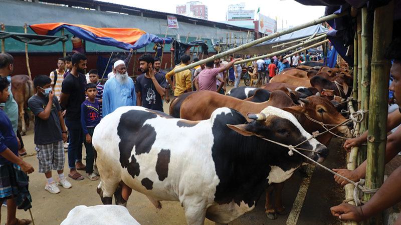 দাম কমিয়েও ক্রেতা না বাড়ায় শঙ্কিত বিক্রেতারা