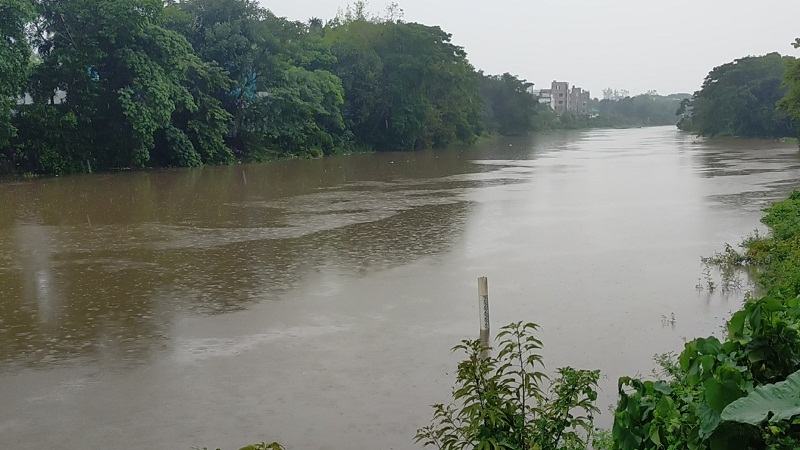 নেত্রকোনায় অতিবৃষ্টি ও পাহাড়ি ঢলে নদ-নদীর পানি বৃদ্ধি, বন্যার শঙ্কা