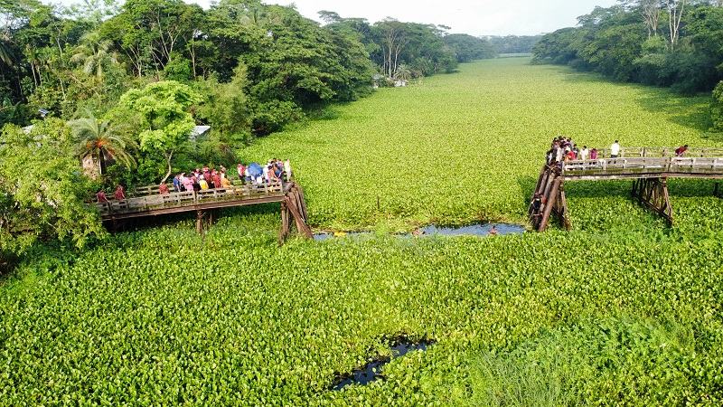বরগুনায় সেতু ভেঙে মাইক্রোবাস খালে, নয়জনের মরদেহ উদ্ধার