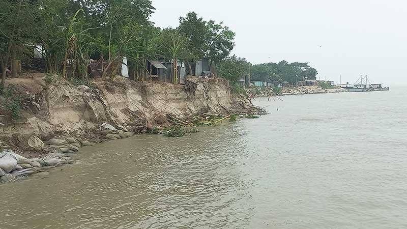 রাজবাড়ীতে পদ্মায় ফের ভাঙন ঝুঁকিতে নদীপাড়ের ৯ স্থান