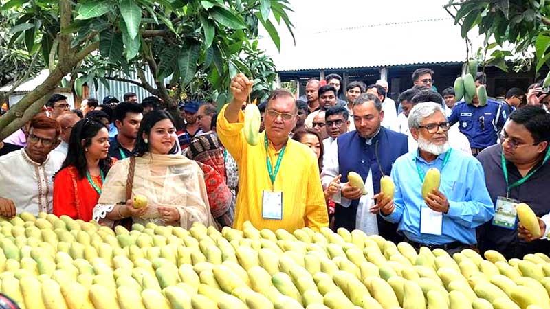 রাষ্ট্রদূতদের নিয়ে চাঁপাইনবাবগঞ্জে কৃষি মন্ত্রণালয়ের ম্যাংগো ট্যুর