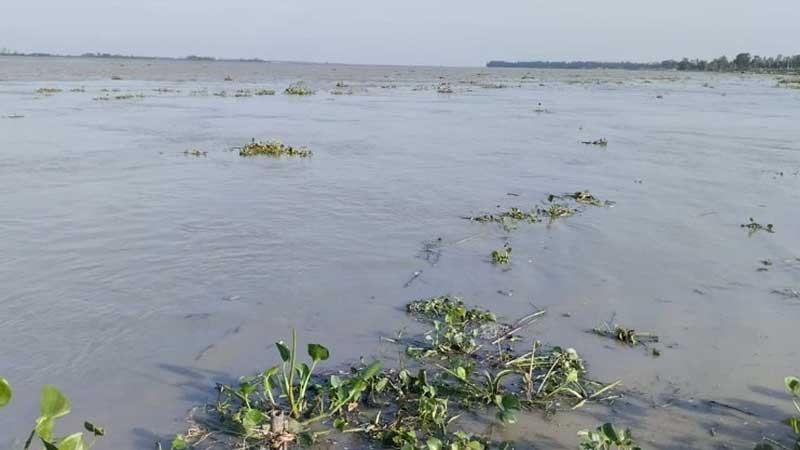 গাইবান্ধায় বাড়ছে তিস্তা করতোয়ার পানি