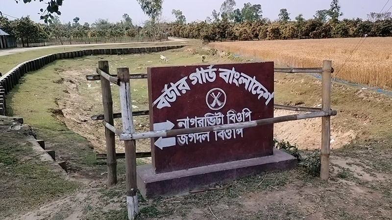 ঠাকুরগাঁও সীমান্তে বিএসএসফের গুলিতে বাংলাদেশী নিহত