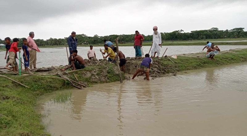 ৬০ লাখ টাকার মাছ ভাসিয়ে দেয়ার অভিযোগ