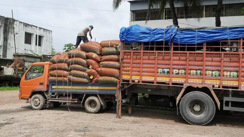হিলিতে আমদানি বাড়ায় দাম কমেছে কাঁচামরিচের